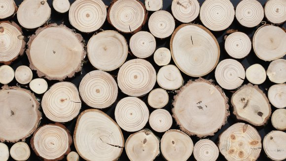 Dřevěný obklad PURE 